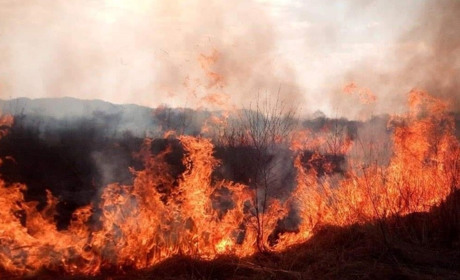 7-9 серпня на Донеччині оголошена надзвичайна пожежна небезпека