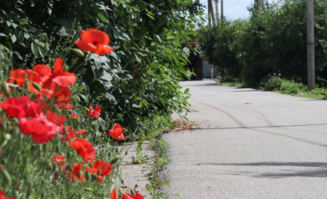 Перелік нових назв вулиць Нікополя після трьох хвиль перейменування