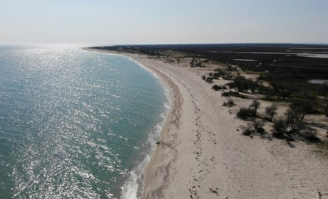 На острові Джарилгач пожежа знищила всю заповідну зону