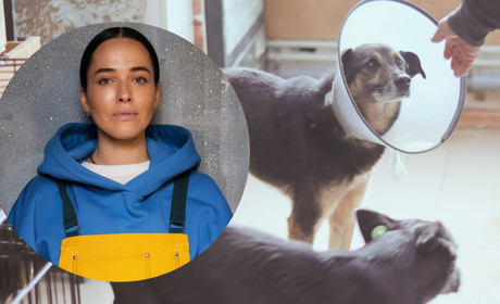 «Зробимо невеличкий ремонт»: зооволонтерка Олена Вошун про підтримку притулку Дашою Астаф'євою