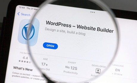 CSM WordPress: переваги та недоліки