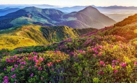 Щоденник війни. Тиждень сімдесятий. расєя має припинити своє існування