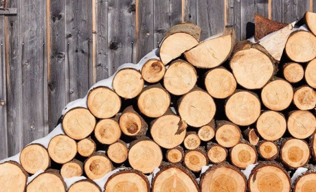 На Полтавщині переселенці можуть оформити допомогу на придбання дров: що для цього потрібно