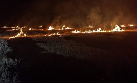 За добу вогонь пройшов 9 гектарів відкритих територій на Миколаївщині: ДСНС