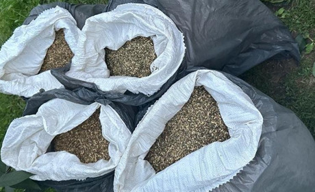 Поліція Чернігівщини розкрила підпільне виробництво тютюнової продукції на мільйони гривень