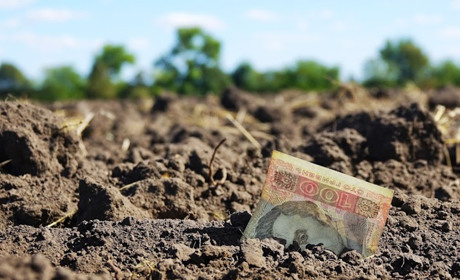 Золотоніські пенсіонери мають пільгу зі сплати земельного податку