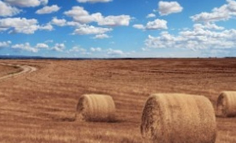 Погода на 22-27 серпня: чи спаде спека