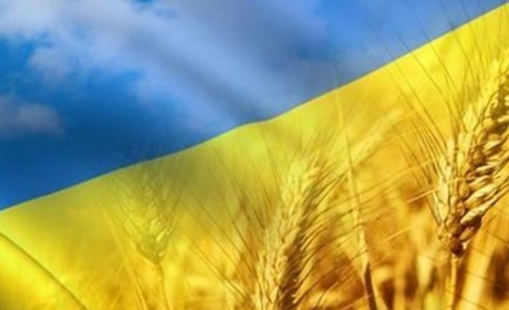 В ЗОВА просить не створювати скупчення людей під час святкування Дня Незалежності