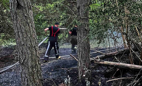Комусь не йметься: у Кузьминцях протягом дня двічі гасили пожежу в екосистемах