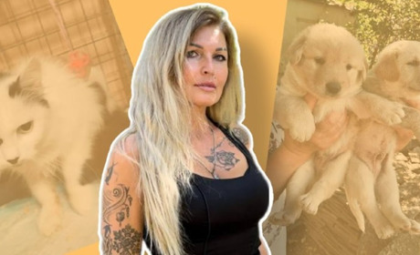 “Волонтером може стати кожен”. Тетяна Міросенко про роботу пункту перетримки тварин у Жовтих Водах