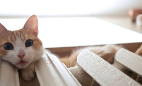 Україні вистачить газу у сховищах для проходження опалювального сезону