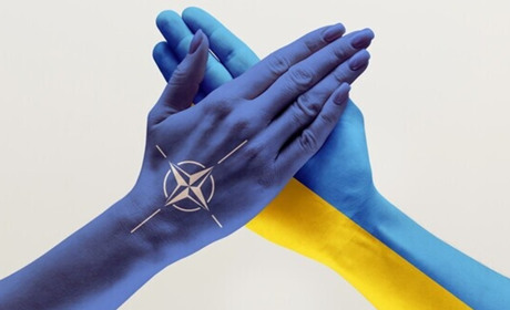 Щоденник війни.Тиждень сімдесят другий. Чи розуміли ми п’ятсот днів тому, що це триватиме так довго?