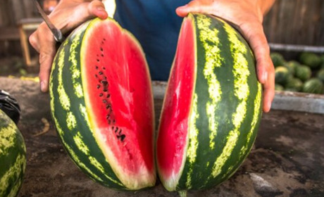 На Одещині до продажу не допустили близько 4 тонн кавунів та динь: мали підвищений вміст нітратів