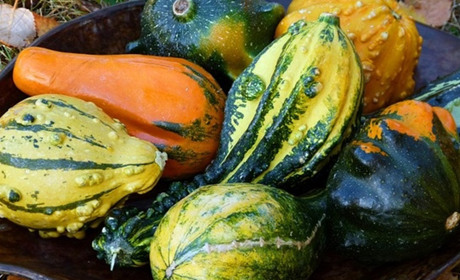 Щомісячний посівний календар на вересень 2023