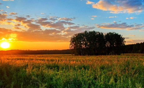 Прогноз погоди в Біляївці та Одеській області