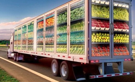 Международные грузоперевозки с Cargol: надежное решение для перевозки грузов различной тяжести