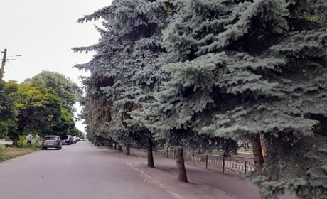 В Краснограді стартувало опитування щодо нової назви міста: як подати свою пропозицію