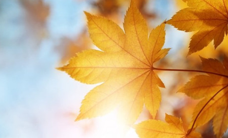 Новий церковний календар і виплати ВПО: що зміниться в Україні з 1 вересня