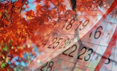 Календар вихідних і свят вересня 2023. Що будемо відзначати цього місяця