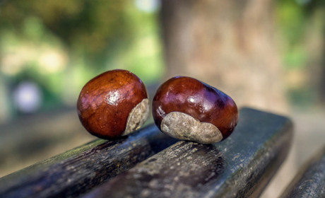 Гороскоп на тиждень