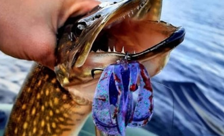 Риболовля в Гадячі: Захоплюючі моменти на риболовному горизонті