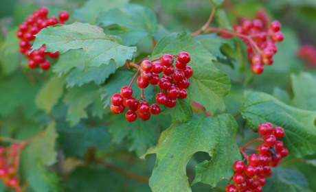 Погода у Старокостянтинові на 4-10 вересня: чи повернеться літнє тепло без дощів