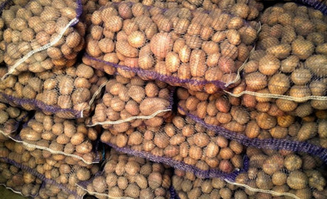 Ошукав на 31 тис. доларів: житель Одещини взяв гроші на закупівлю картоплі та погасив свої борги