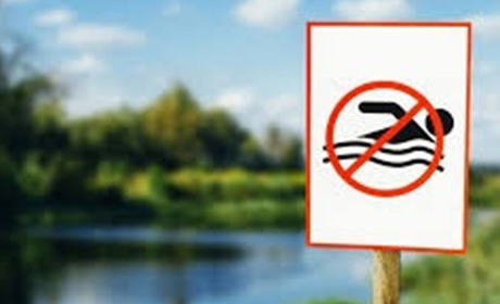 Завершення купального сезону: у водоймах Сарненщини виявили яйця глистів та паразитів