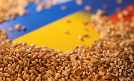 Щоденник війни.Тиждень сімдесят четвертий. Ціллю обстрілу вкотре стало моє рідне місто