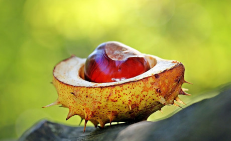 Погода у Старокостянтинові на 11-17 вересня: літнє тепло не відступає, коли дощитиме