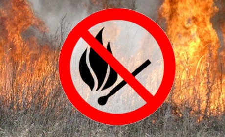 Рятувальники Донеччини закликають не палити сухостій та стерню