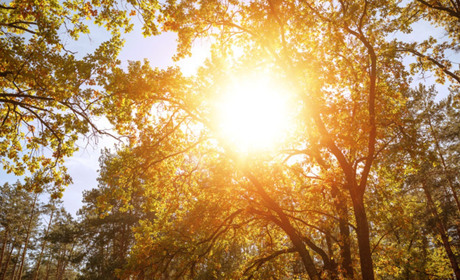 Погода в Кагарлику та Ржищеві на тиждень - з 18 по 24 вересня