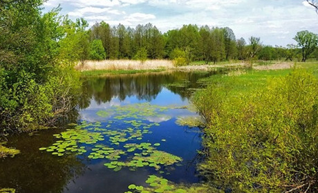 У Краснолуцькій громаді у річці Грунь потонув чоловік