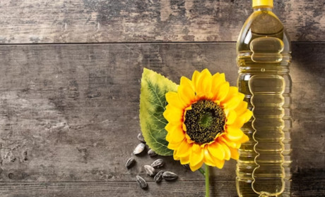 Все, що потрібно знати про соняшникову олію та її переваги