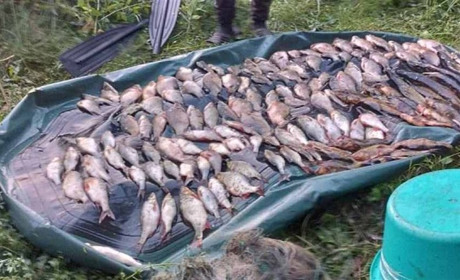 Незаконна риболовля в Чернігівській області. Мешканець Батурина сплатить 240 тис. грн штрафу