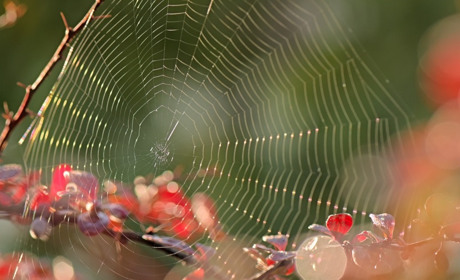 Погода у Старокостянтинові на 18-24 вересня: бабине літо триває