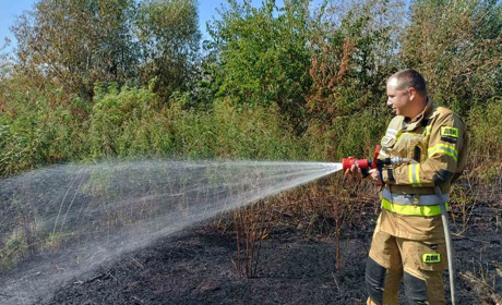 У Благодатному вигоріло 350 квадратів сухої трави