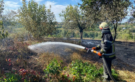 У Великій Снітинці горіла суха трава: з пожежі дістали їжачка