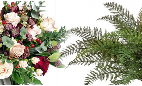 Стилі інтер'єру - знайдіть той, що підходить саме вам