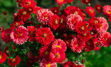 Погода у Старокостянтинові на 25 вересня - 1 жовтня: чи довго ще грітимемось