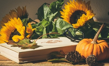 Календар вихідних і свят жовтня 2023. Що відзначаємо цього місяця