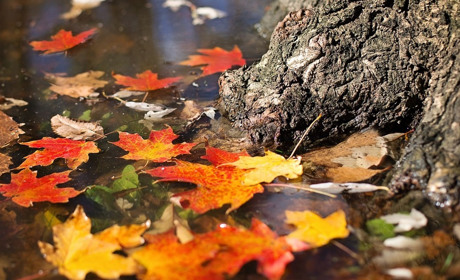 Погода у Старокостянтинові на 2-8 жовтня: яким буде початок місяця, коли прогнозують перші заморозки
