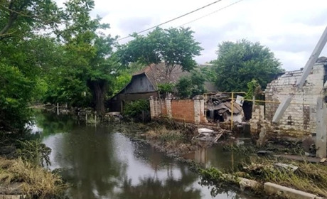 Грошова допомога за втрачений врожай після підриву Каховської ГЕС: подати заяву можна до 31 жовтня
