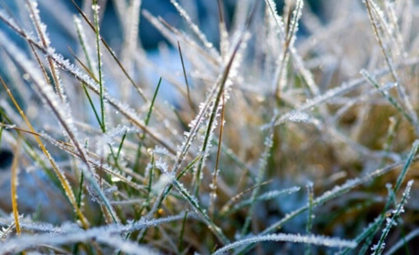 Ймовірні заморозки й перепади тиску: яку погоду очікувати на Рівненщині