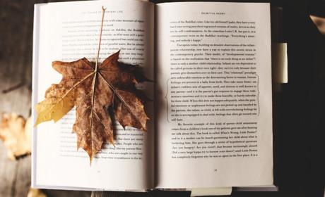 Осінній book-лист для гарного настрою від читацького клубу Звягеля