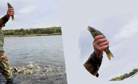 У жовтоводську водойму випустили тонну риби