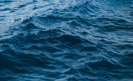 Морська медкомісія: запорука здоров'я та безпеки плавскладу під час рейсу