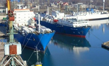 Через порти Скадовська і Криму за рік окупанти вивезли понад 172 тис. т зерна