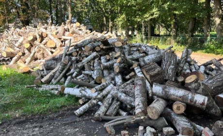 Не знають, чим тепер опалювати навчальні заклади: у школи Меденицької громади завезли не ті дрова