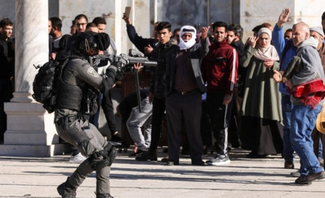 Солодка парочка. Терористи "ЛНР" відкрито підтримали терористів ХАМАСу